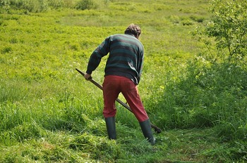 草を刈る人