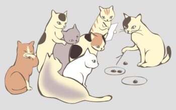 猫達の会議