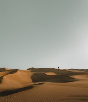 遙かな砂漠