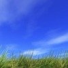 草原と青空